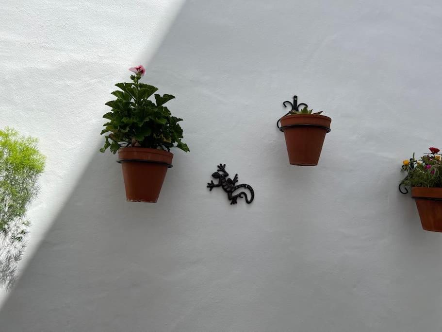 Casa Encantadora Olvera Exterior photo